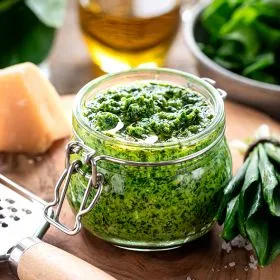 PESTO À L'ÂIL DES OURS